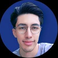 100+ "Amir Rashidi" profiles