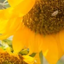 Wendy Cueto fotografía (@wendycueto_fotografia) • Instagram photos and  videos