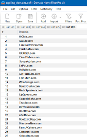 Import Filter Clean Process Huge Domain Lists Using Domain Name Filter Pro