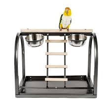 See over 100 different tabletop wood bird stands, wood parrot perches and other wooden bird perches made from wood dowels to manzanita at the perch factory. Deluxe Tabletop Parrot Playstand Garden Feathers Bird Supplies Poultry Supplies Cage And Aviary Bird Supplies Parrot Supplies Racnig Pigeon Supplies North East England