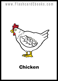 English Flashcard Kindle Animals Chicken