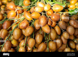 Image result for Clausena lansium