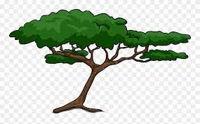Search images from huge database containing over 620,000 coloring pages Tree Clipart Safari Acacia Tree Clipart Png Download 995 Pinclipart