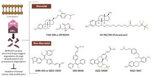 Image result for Selective Estrogen Receptor Modulator