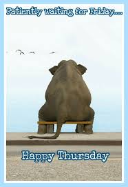 Happy Thursday Animals Animals Beautiful Cute Animals