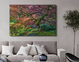 Last ned og bruk 600+ b gratis arkivbilder. Wohnzimmer Bilder Lumas