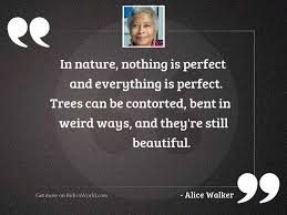 What are nothing is perfect image quotes? In Nature Nothing Is Perfect Inspirational Quote By Alice Walker