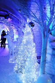 30 Wonderland Christmas Lights Decorations Ideas Decoration Love Winter Wonderland Christmas Winter Wonderland Decorations Winter Wonderland Christmas Party