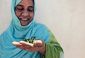 Krig er vår eneste løsning