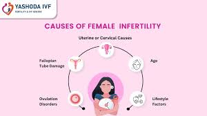 Image result for Female Infertility