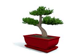 Make harry & david your destination for bonsai tree gifts that are sure to delight. Bonsai Tree Works In Progress Blender Artists Community