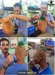 Pineapple Haircut Pineapple Haircut Funny Pictures Funny