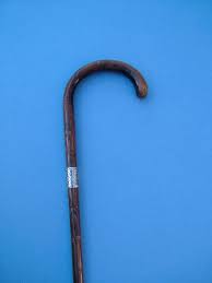 I Somehow Got Strong By Raising Skills Related To Farming Pin By Steve Raiken On Walking Sticks Staffs And Canes Walking Sticks Canes Walking Sticks Walking Sticks And Canes