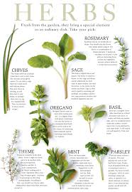 16 Rational Culinary Herb Chart