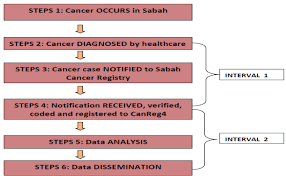 These were the national cancer registry report, and minutes of previous cancer control meetings. Http Journal Waocp Org Article 32485 90f1878d0098dc734bbb891c1118a4d6 Pdf