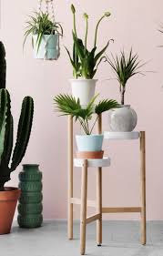 Pin On Plants And Good Ideas