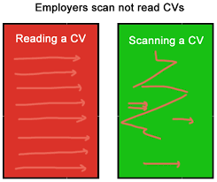 use bullet points in your cv cv plaza