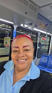 View of Chicago while landing with a photo of the Sears Tower