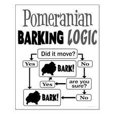 Pomeranian Barking Logic Pomeranian Pomeranian Puppy Cute Pomeranian