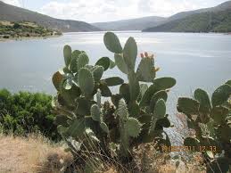 In questa tabella sono riportati i dati riferiti a lago alto flumendosa, la sua latitudine e longitudine, sia nel formato classico, sia nel formato dms. Motorrad Arbatax Lago Del Flumendosa Tour 98805