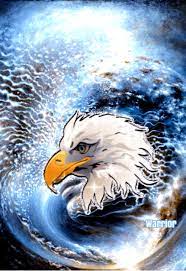Pin By Sky Walker The Warrior On Animals Forest And Nature Eagle Pictures Sketches Kids Wallpaper