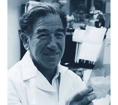 Immagine in miniatura