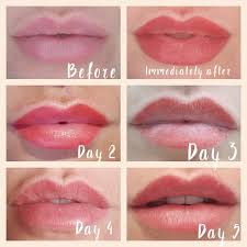 Everyone Has Been Asking Me How My Lips Are Going So The Main Healing Process Is Done Still A Little Lip Permanent Makeup Lip Color Tattoo Permanent Makeup