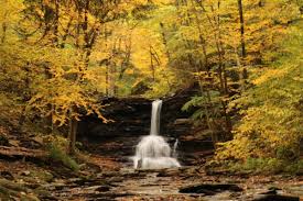 Maybe you would like to learn more about one of these? Rickett S Glen State Park Us Travel With Us