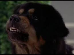 When a cheating father of two is kicked out of the house, his dog rex becomes determined to take his place as the man of the house. Mans Best Friend 1993 Film Alchetron The Free Social Encyclopedia
