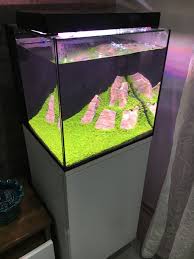 Nano Bitkili
