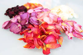 How To Dry Rose Petals Ehow Com Dried Flowers Diy Dried Rose Petals Freeze Dried Flower Petals