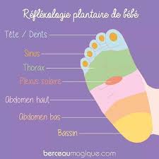 Librivox is a hope, an experiment, and a question: Apprenez La Reflexologie Dans Les 5 Prochaines Minutes Sante Et Beaute Reflexologie Reflexologie Plantaire