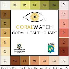 Figure 1 From Coral Health Monitoring Linking Coral Colour