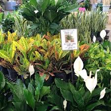 Population of standard metropolitan statistical areas: Metropolitan Wholesale Home Facebook