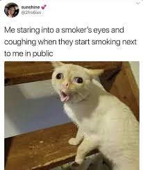 I Do This To Try To Make Them Feel Guilty Lmao Funny Relatable Memes Funny Black Memes Funny Memes