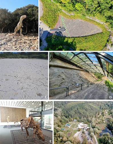 Vertebrate ichnosites as geological heritage: A global synthesis of the best practices in geoconservation - ScienceDirect