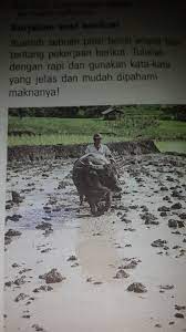 Puisi tentang alam semesta tentunya akan kami berikan untuk mendongkrak rasa syukur kepada allah akan ciptaan jika puisi alam yang lainnya 3 bait dan 4 bait dan puisi panjang maka kali ini puisi tentang alam 8 baris saja dan sepuluh baris. Buatlah Sebuah Puisi Berisi 4 Bait Tentang Pekerjaan Berikut Tulislah Dengan Rapi Dan Gunakan Kata Brainly Co Id