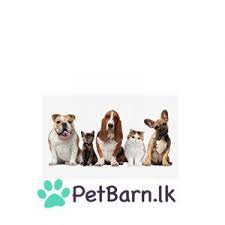 Petbarn Lk Pets Food Animals Dog Food Recipes