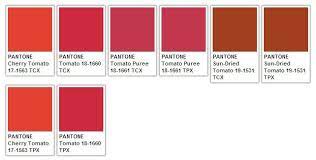 pin on oton color palette white pms