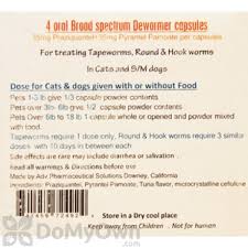 The best dewormers for cats (review) in 2021. Cat Dewormers Wormers For Cats Domyown Com
