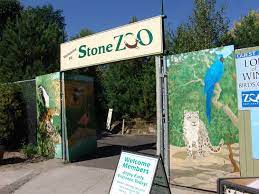 Stone Zoo Boston Massachusetts Zoo Homeschool Field Trips Zoo Park