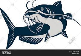 We did not find results for: Catfish Vector Photo Free Trial Bigstock