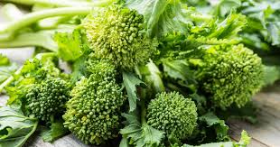 Image result for Brassica rapa