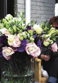 Image result for eustoma lisianthus in vase
