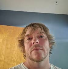 Dogs creating paths in their yards