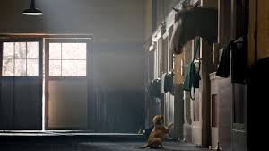 3 Reasons Why Budweiser S Puppy Love Is The All Time Most Popular Super Bowl Ad Inc Com