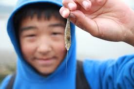 At remote Cape Peirce, Bristol Bay students experience the environment  first-hand