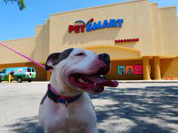 She clearly does not like her job, she is rude and nasty and she always has an excuse as to why she cant groom my dog or she would always charge. Pet Alliance Of Greater Orlando Receives 140 000 From Petsmart Charities To Increase Access To Affordable Veterinary Care In Central Florida And To Support Adoptions