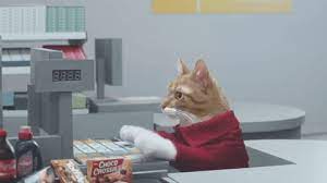 Let S Take A Moment To Appreciate Working Cats Imgur Cat Work Giphy Cats
