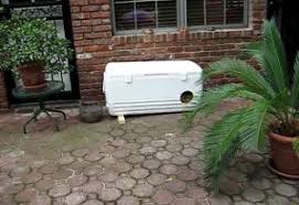 In this article, you will learn how to build two different kinds of outdoor cat shelters. Feral Shelters